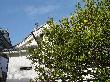 DSC02108.JPG