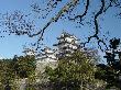 DSC02115.JPG
