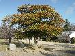 DSC02125.JPG