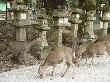 DSC02307.JPG
