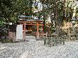 DSC02316.JPG