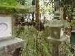 DSC02320.JPG