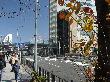 DSC01880.JPG