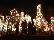 DSC02014.JPG