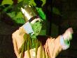 DSC01737.JPG
