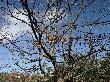 DSC01376.JPG