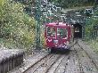 DSC01390.JPG