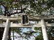 DSC01470.JPG