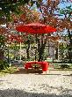 DSC01622.JPG