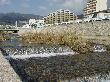DSC01659.JPG