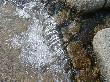 DSC01669.JPG