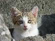 DSC01685.JPG