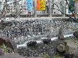 DSC02713.JPG