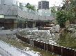 DSC02724.JPG