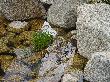 DSC02725.JPG