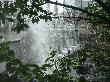 DSC02726.JPG