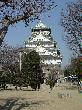DSC02763.JPG