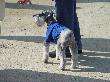 DSC02794.JPG