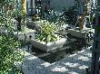 DSC02869.JPG