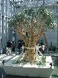 DSC02870.JPG