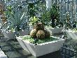 DSC02871.JPG