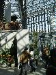 DSC02883.JPG