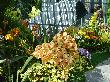 DSC02890.JPG