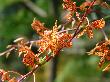 DSC02892.JPG