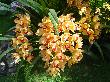 DSC02894.JPG