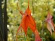 DSC02897.JPG