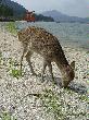 DSC03663.JPG