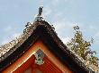 DSC03694.JPG