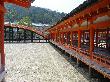 DSC03696.JPG