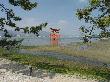 DSC03705.JPG