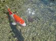 DSC03719.JPG