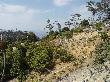 DSC03727.JPG
