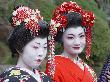 DSC03570.JPG