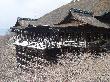 DSC03597.JPG