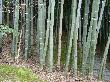 DSC03616.JPG