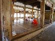 DSC03220.JPG