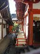 DSC03225.JPG