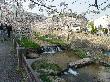DSC03976.JPG