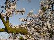 DSC04000.JPG