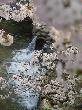 DSC04002.JPG