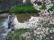 DSC04004.JPG