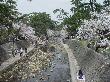 DSC04018.JPG