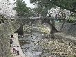 DSC04020.JPG