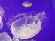 DSC04303.JPG
