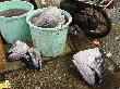 DSC04318.JPG