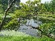DSC04481.JPG